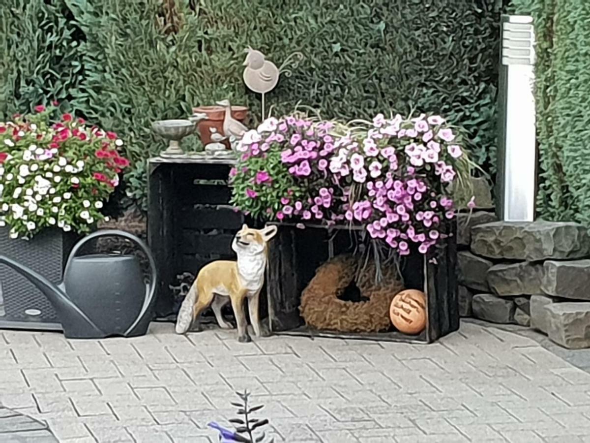 Dachgeschoss35 Daire Witten Dış mekan fotoğraf